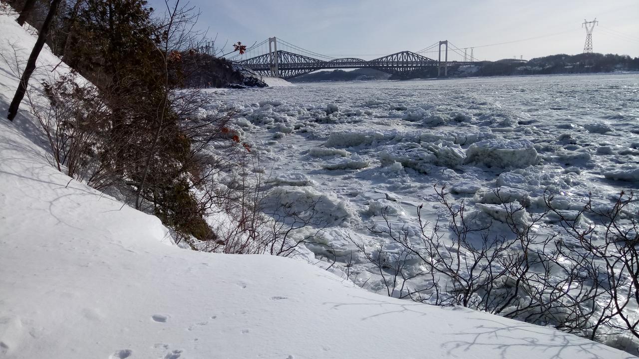 Gite Au Gre Du Vent Quebec City Exterior photo